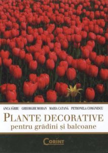 Plante decorative pentru gradini si balcoane