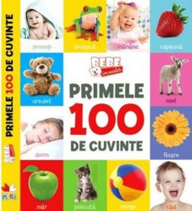 Primele 100 de cuvinte. Bebe invata