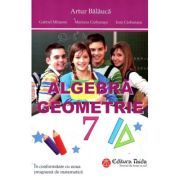 Algebra. Geometrie clasa a 7-a   Brosura. Rezultate, Indicatii, Solutii. Comentarii