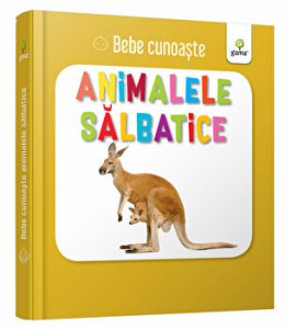 Montessori. Elemente chimice. Carti de joc educative pentru 6-12 ani