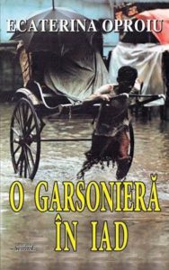 O garsoniera in iad