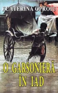 O garsoniera in iad de Ecaterina Oproiu