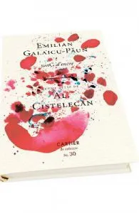 sanG d'encre de Emilian-Galaicu Paun
