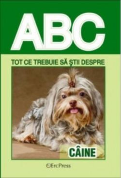 Tot ce trebuie să știi despre câine