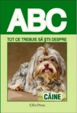 Tot ce trebuie să știi despre câine