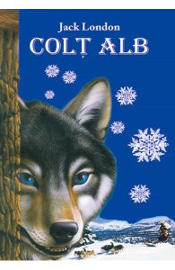 Colt Alb