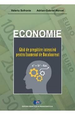 Economie. Ghid de pregatire intensiva pentru examenul de Bacalaureat