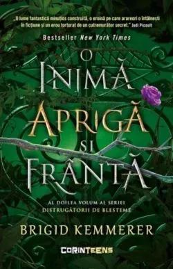 O inimă aprigă și frântă (Vol. 2) de Brigid Kemmerer
