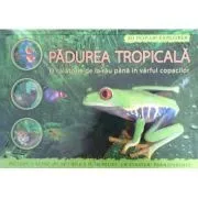 Padurea tropicala de Joe Fullman