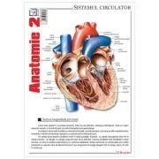 Pliant Anatomie 2 de Florica Mailat