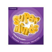 Super Minds Level 6, Posters
