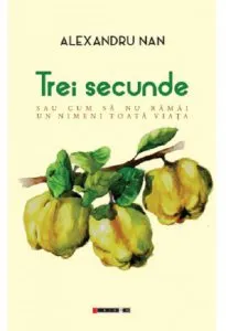Trei secunde de Alexandru Nan