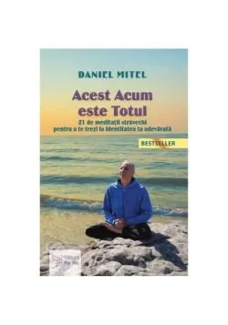 Acest acum este totul de Daniel Mitel