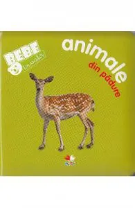 Bebe invata de Animale din padure