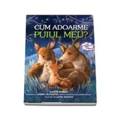 Cum adoarme puiul meu? Monica Sweeney de Monica Sweeney