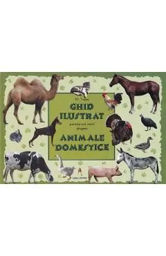 Ghid ilustrat pentru cei mici despre animale domestice de M. Tufan