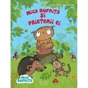 Mica bufnita si prietenii ei de Susanne Weber