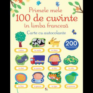 Primele mele 100 de cuvinte in limba franceza