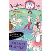 Un balet de neuitat de Beatrice Masini