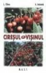 Ciresul si visinul