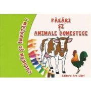Coloram si invatam! Pasari si animale domestice