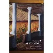 Cuvinte care trec, cuvintele care nu trec de Doina Alexandru