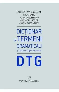 Dictionar de termeni gramaticali si concepte lingvistice conexe de Adina Dragomirescu