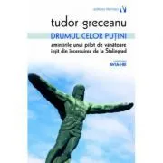 Drumul celor putini. Amintirile unui pilot de vanatoare iesit din incercuirea de la Stalingrad de Tudor Greceanu