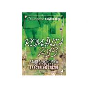 Romania 2013: starea economica sub povara efectelor crizei