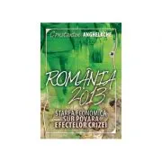 Romania 2013: starea economica sub povara efectelor crizei