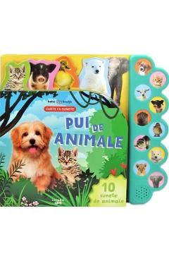 Bebe invata. Pui de animale. Carte cu sunete