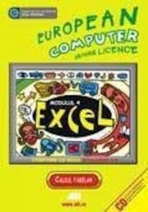 ECDL- Modulul 4. Excel