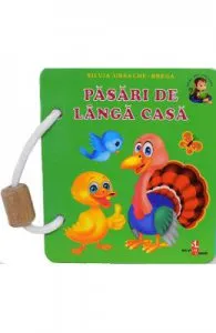 Pasari de langa casa de Silvia Ursache-Brega