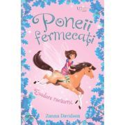Poneii fermecati. Evadare nocturna (Usborne)