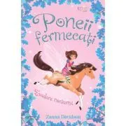 Poneii fermecati. Evadare nocturna (Usborne) de Usborne Books