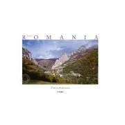 Album Made in Romania. Italiana de Florin Andreescu