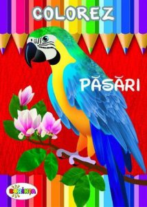 Colorez - Pasari