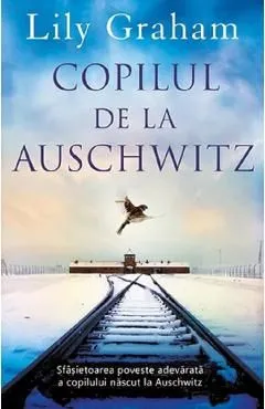 Copilul de la Auschwitz de Lily Graham