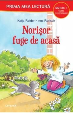 Norisor fuge de acasa. Carte cu pictograme