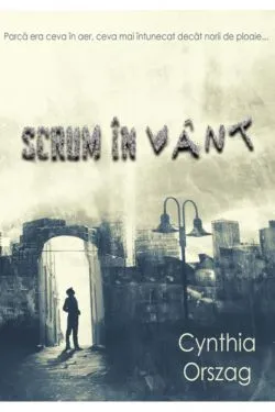 Scrum in vant de Cynthia Orszag
