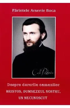 Despre durerile oamenilor Vol.8 de Arsenie Boca