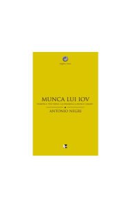 Munca lui Iov. Faimosul text biblic ca parabolă a muncii umane
