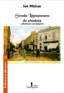 Strada Lapusneanu de altadata de Ion Mitican