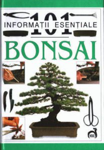 Bonsai