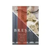 Bresa de Remus Soare