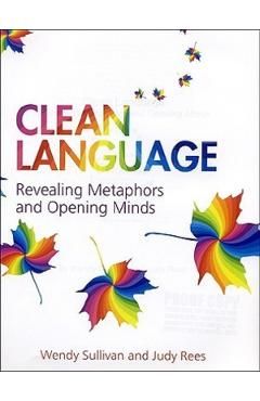 Clean Language