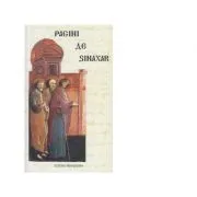 Pagini de sinaxar de Catalin Palimaru