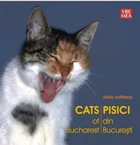 Pisici din Bucuresti de Silvia Colfescu