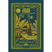Volumul 54. Jules Verne. Doamna Branican