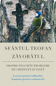 Despre felurite probleme de credinta si viata de Teofan Zavoratul